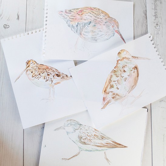 Wading birds work in progress (c) Ella Johnston/Dunlin Press