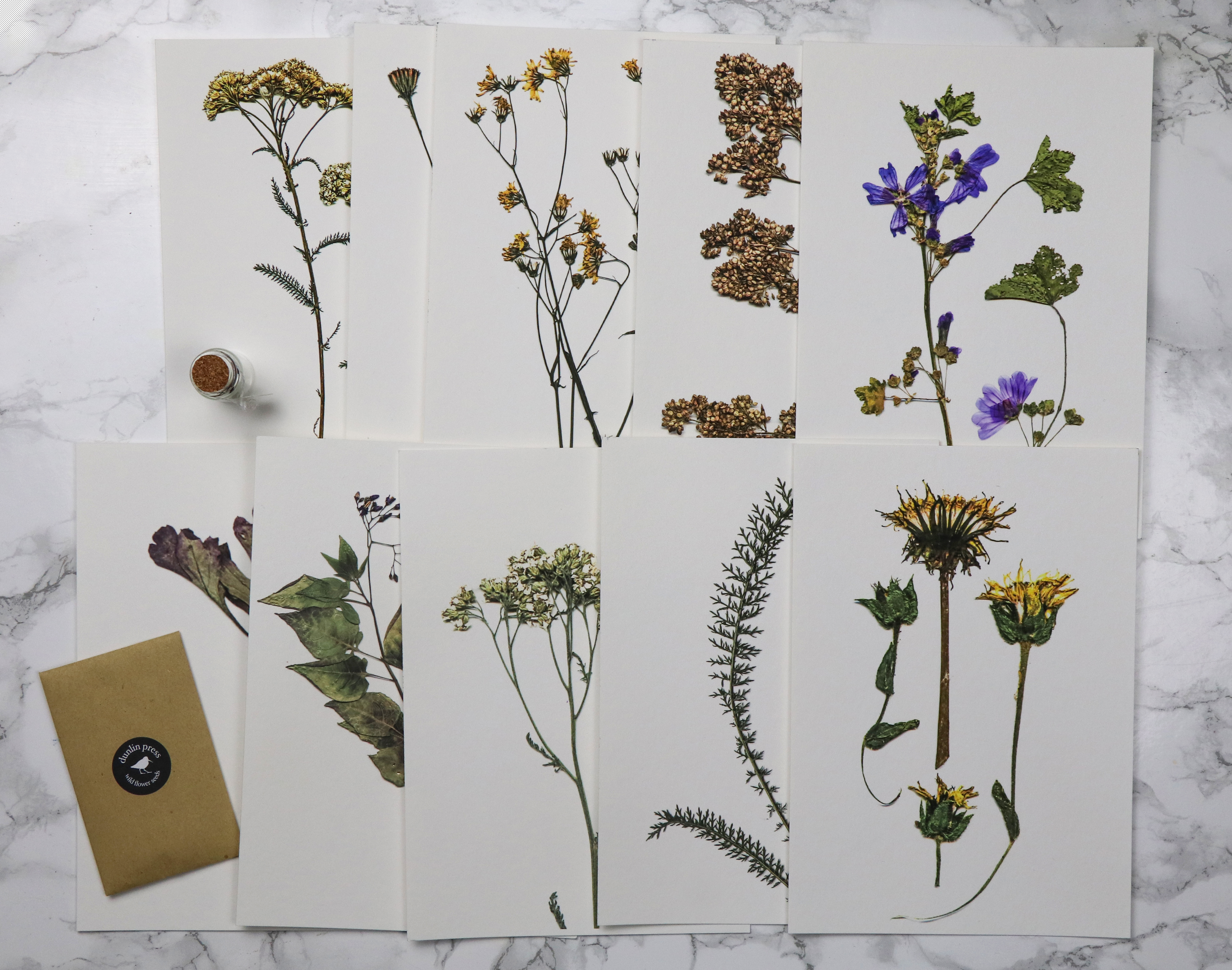 The Orphaned Spaces: Limited Edition pressed botanical fine art prints