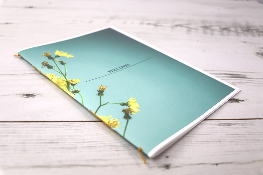 The Orphaned Spaces, still life booklet (c) Dunlin Press