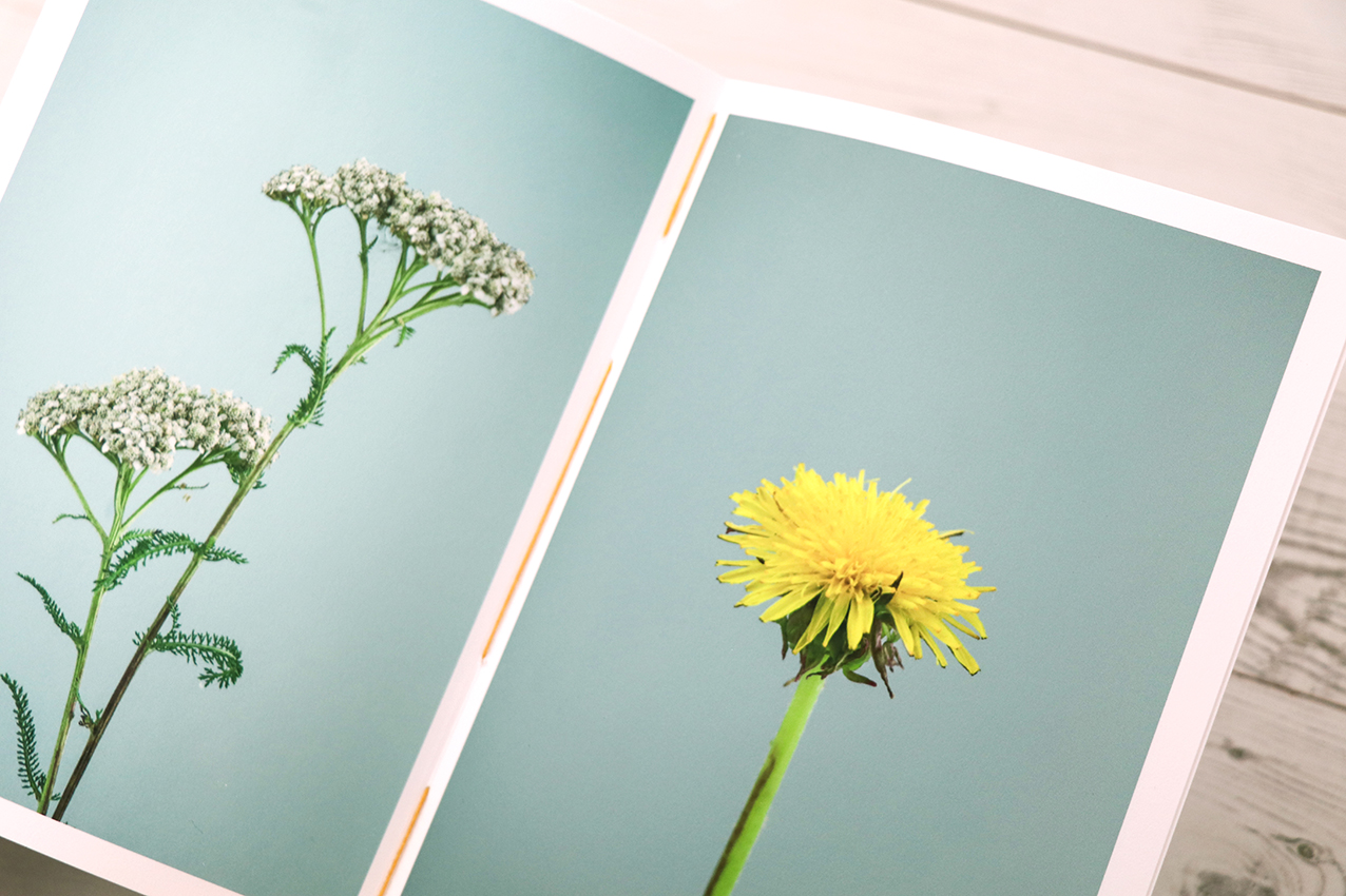 Hand-stitched still lives booklet