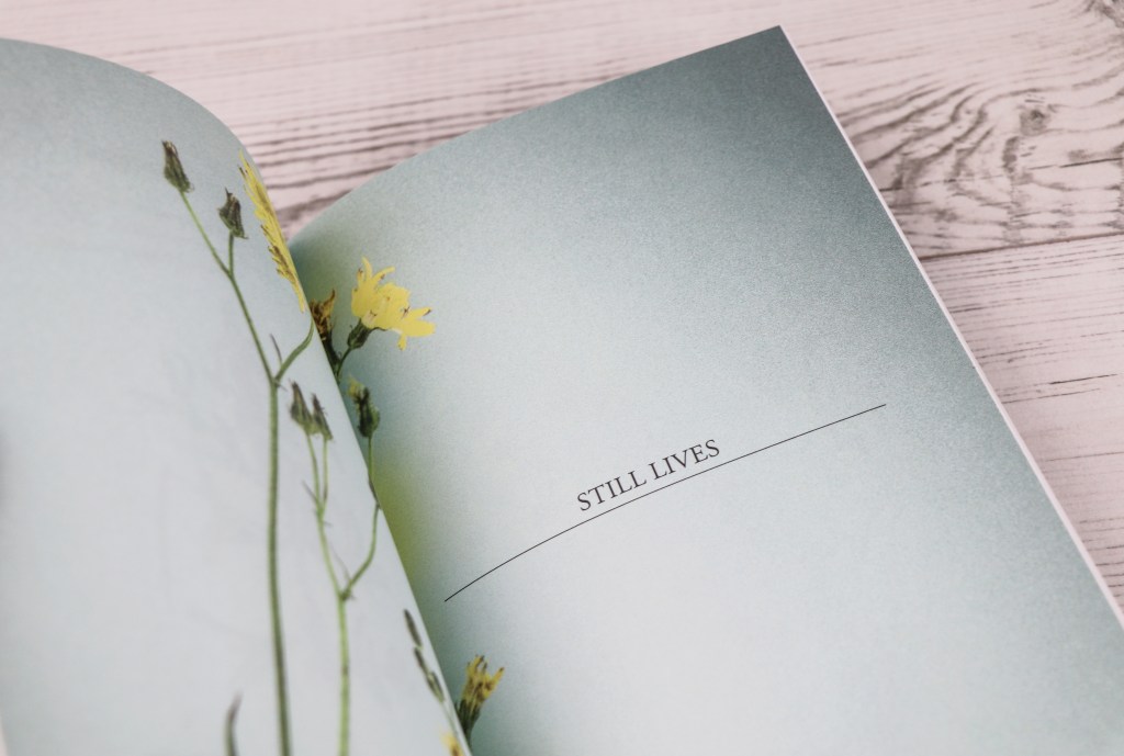 The Orphaned Spaces, still lives section. 