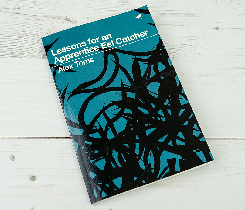 EelCatcher_bookcover_01LR