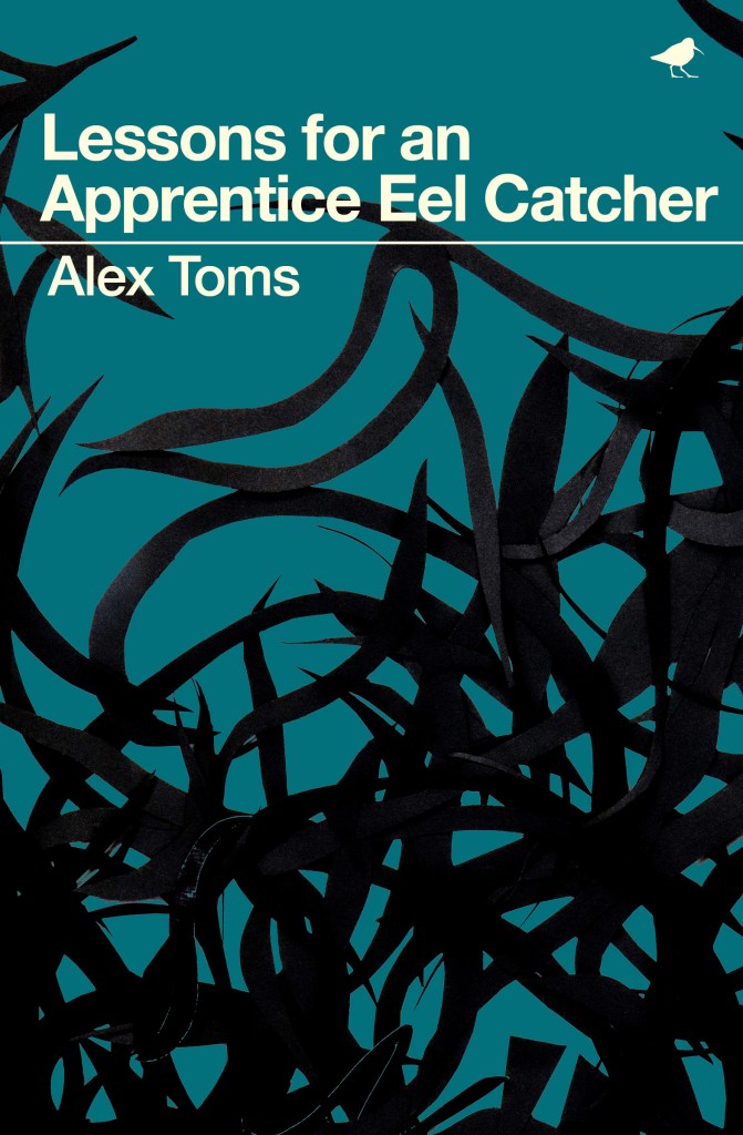 Lessons for an Apprentice Eel Catcher, Alex Toms. Published by Dunlin Press