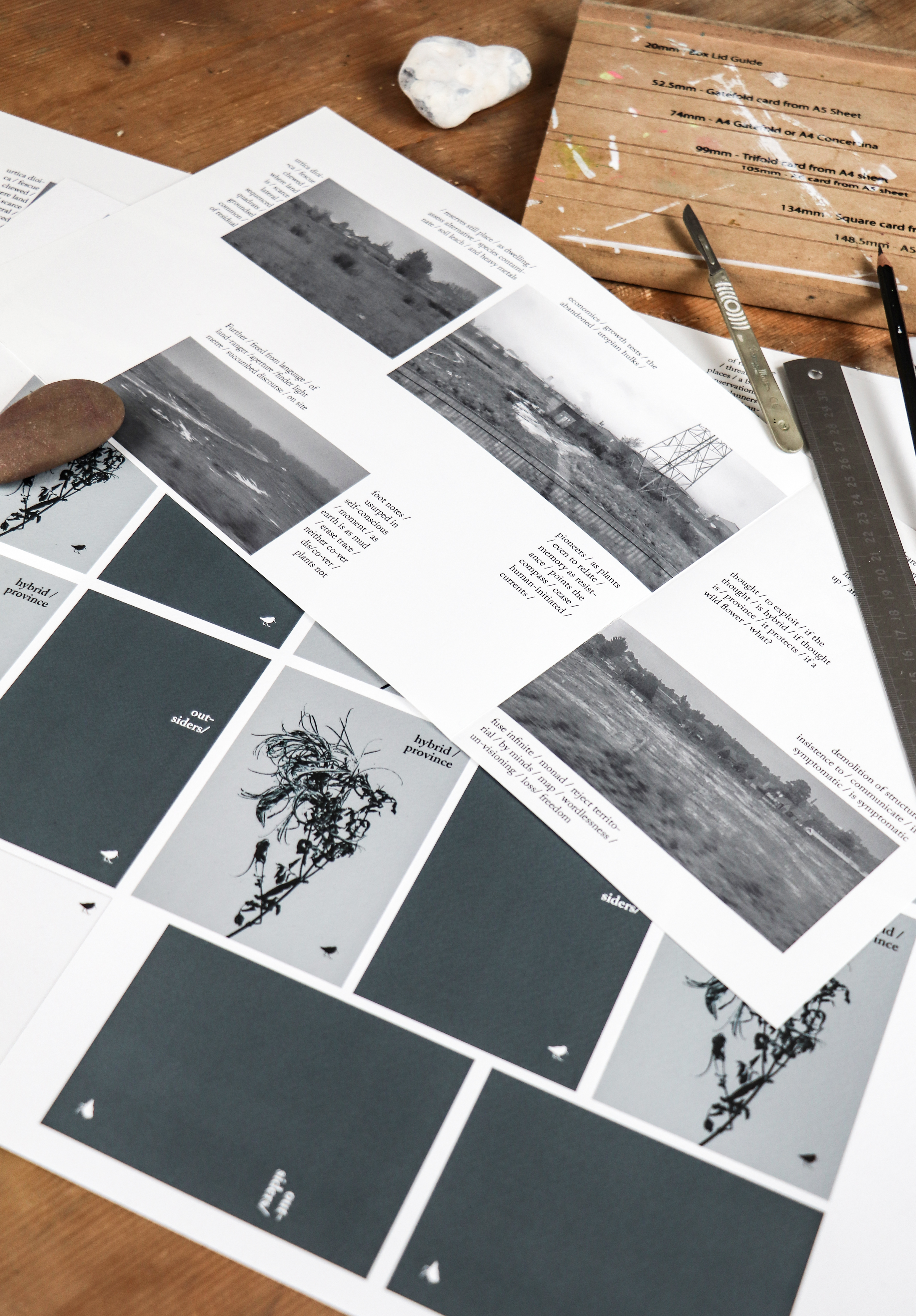 Words and images by Ella Johnston and MW Bewick