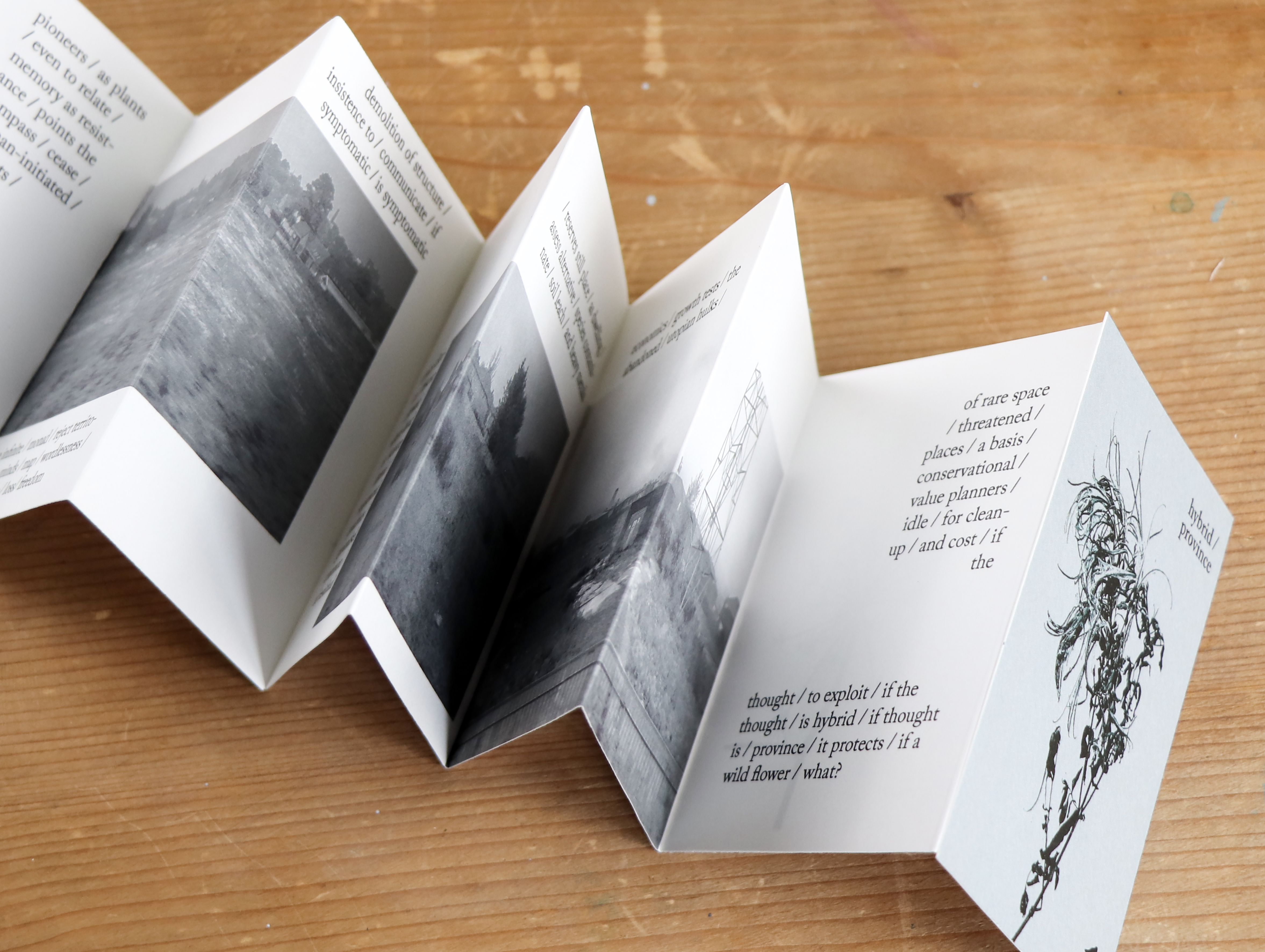 Words and images by MW Bewick and Ella Johnston