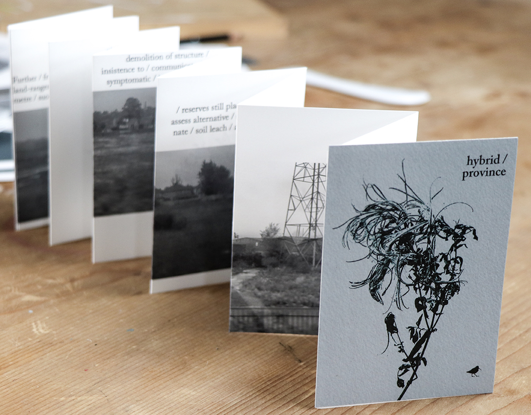 Words and images by Ella Johnston and MW Bewick