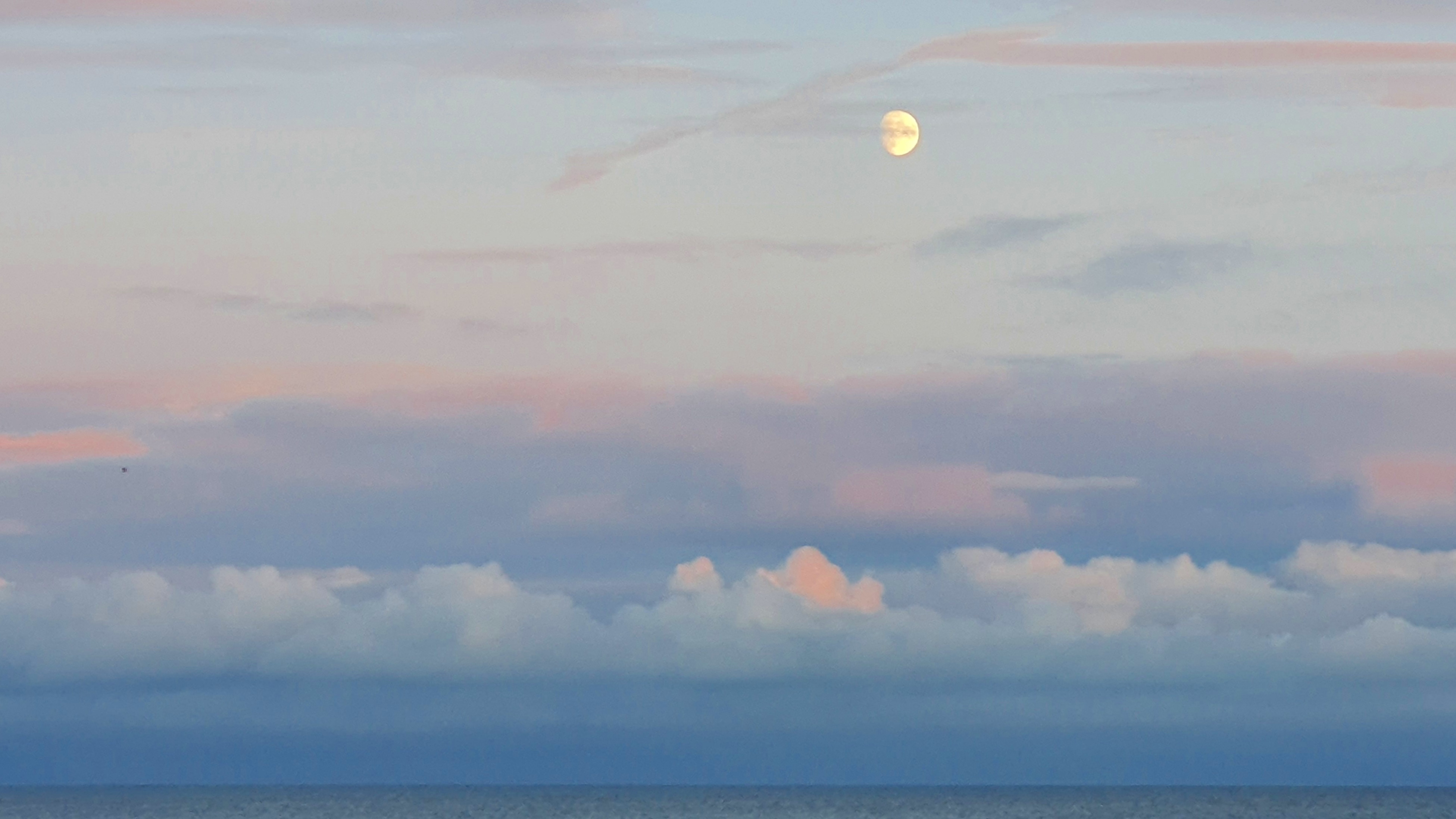 IMG_20191108_161334_684